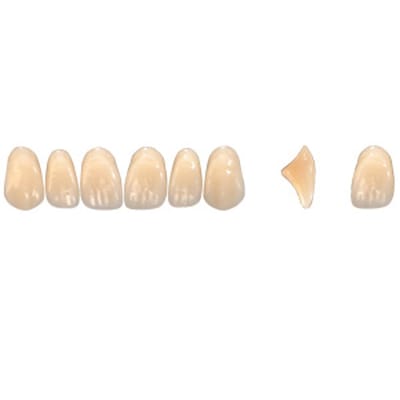 Pala Denture Teeth Mondial 6 Anterior CE - Upper O444