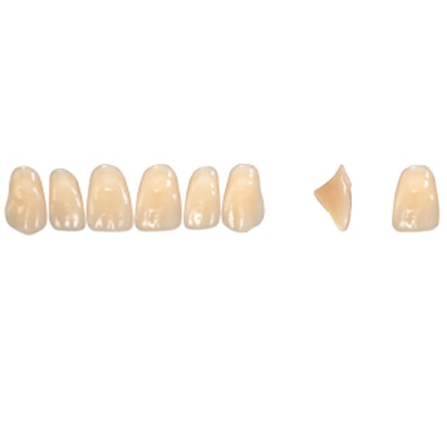 Pala Denture Teeth Mondial 6 Anterior CE - Upper R420