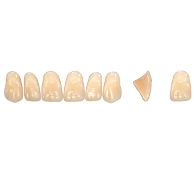 Pala Denture Teeth Mondial 6 Anterior CE - Upper R449E