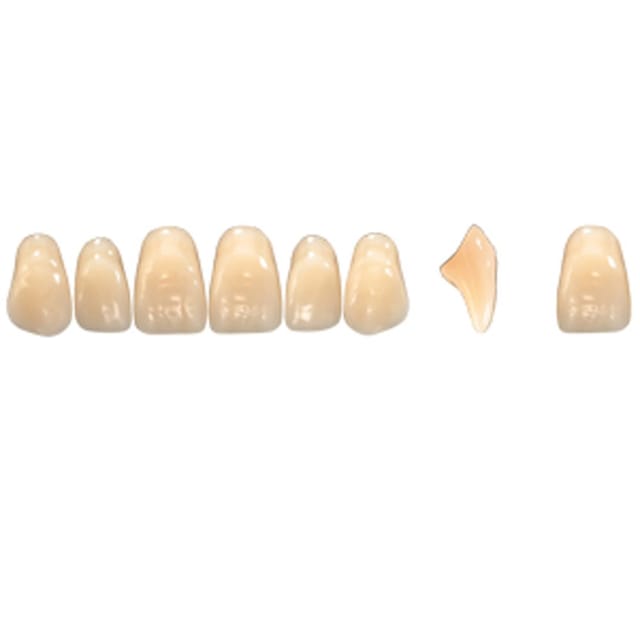 Pala Denture Teeth Mondial 6 Anterior CE - Upper R455