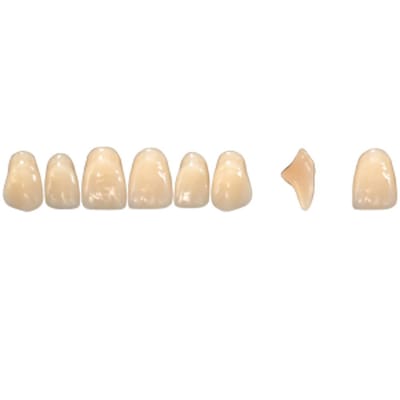 Pala Denture Teeth Mondial 6 Anterior CE - Upper S453